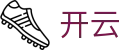 开云电竞娱乐-线上电竞赛事与体育综合平台
